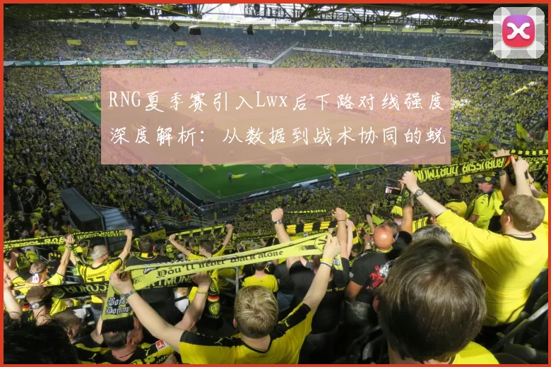RNG夏季赛引入Lwx后下路对线强度深度解析：从数据到战术协同的蜕变