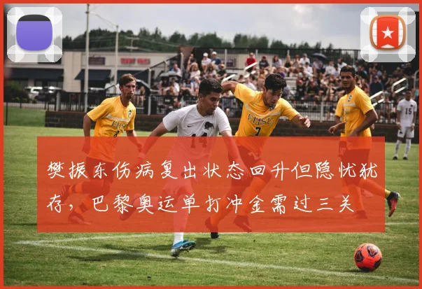 樊振东伤病复出状态回升但隐忧犹存，巴黎奥运单打冲金需过三关