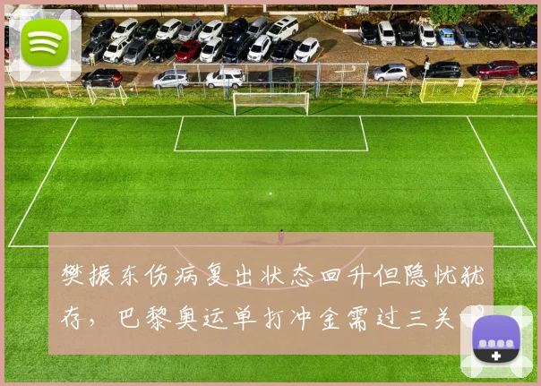 樊振东伤病复出状态回升但隐忧犹存，巴黎奥运单打冲金需过三关