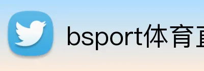 bsport体育直播 Logo